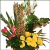 Beautiful Treat - Click here to View more details about this Product
